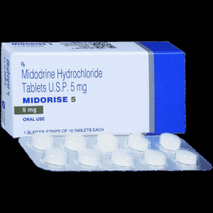 Midorise 5