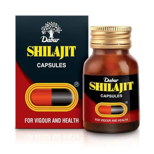 Shilajit 500mg